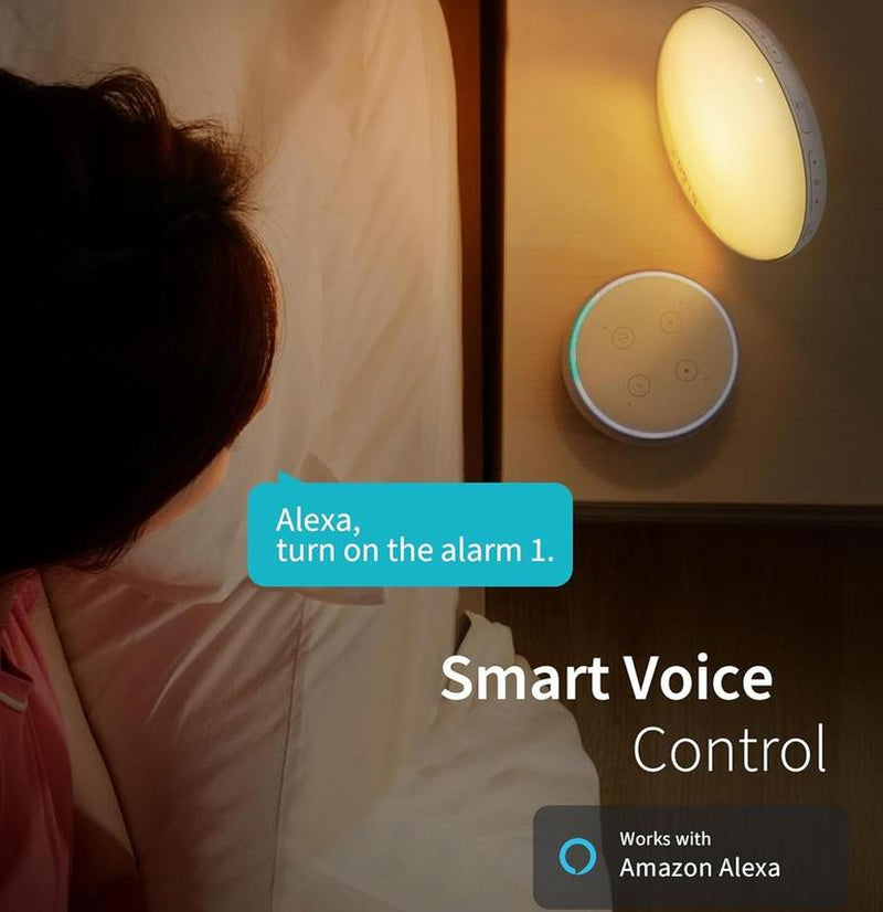 Ecozy Sunrise Alarm Clock for Heavy Sleepers, Smart Wake up Light with Sunrise/Sunset Simulation Decor Adjustable Radio